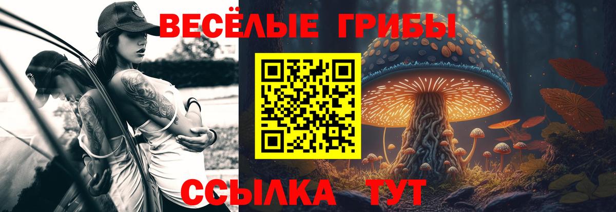 Советский  закладка  Вход с VPN  Галлюциногенные грибы Psilocybe 
